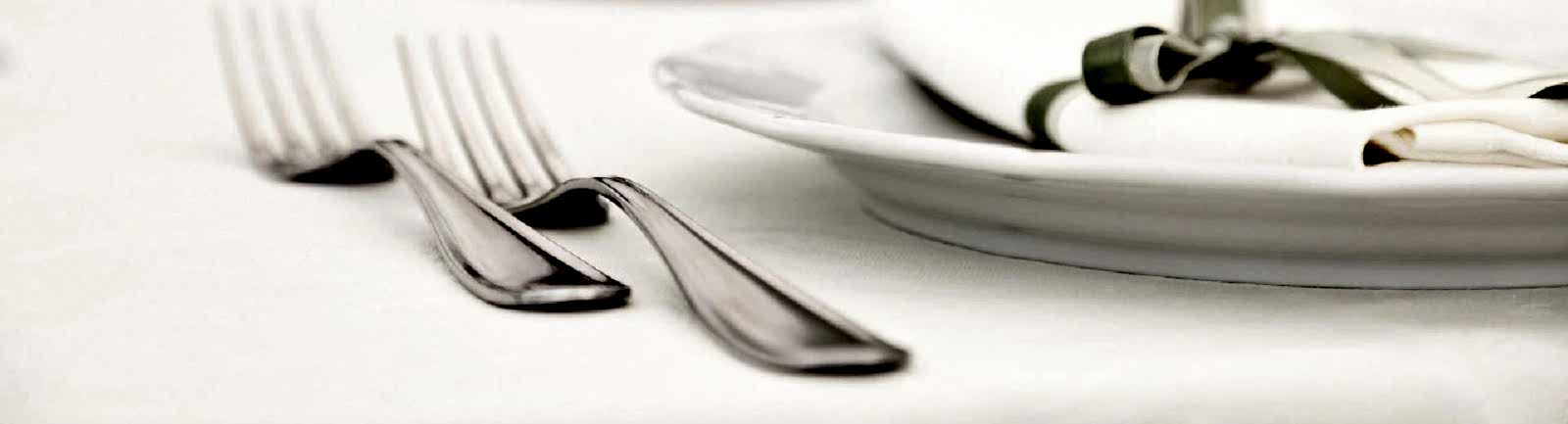 TAVUK SCHNİTZEL